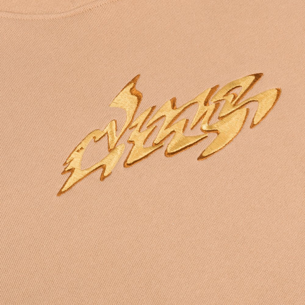 DIME DISCO HOODIE BROWN
