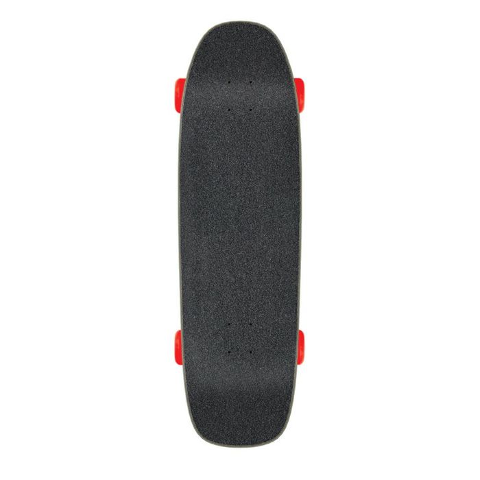 SANTA CRUZ FLIER COLLAGE CRUZER