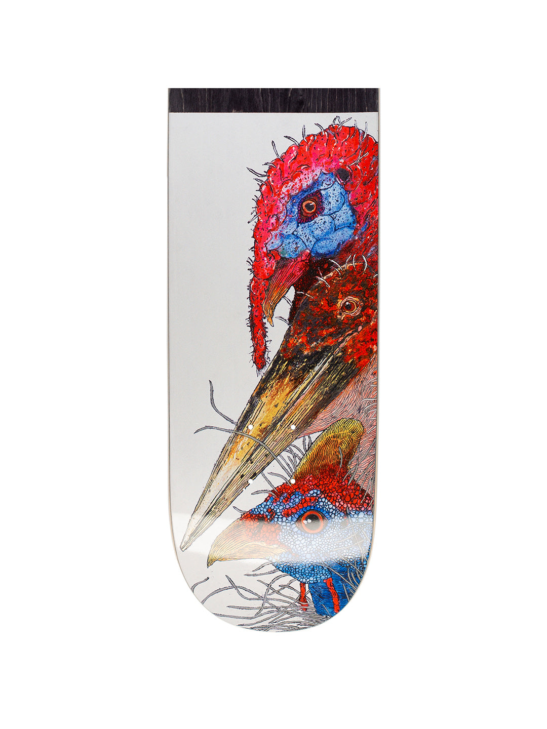 Birds 8.37