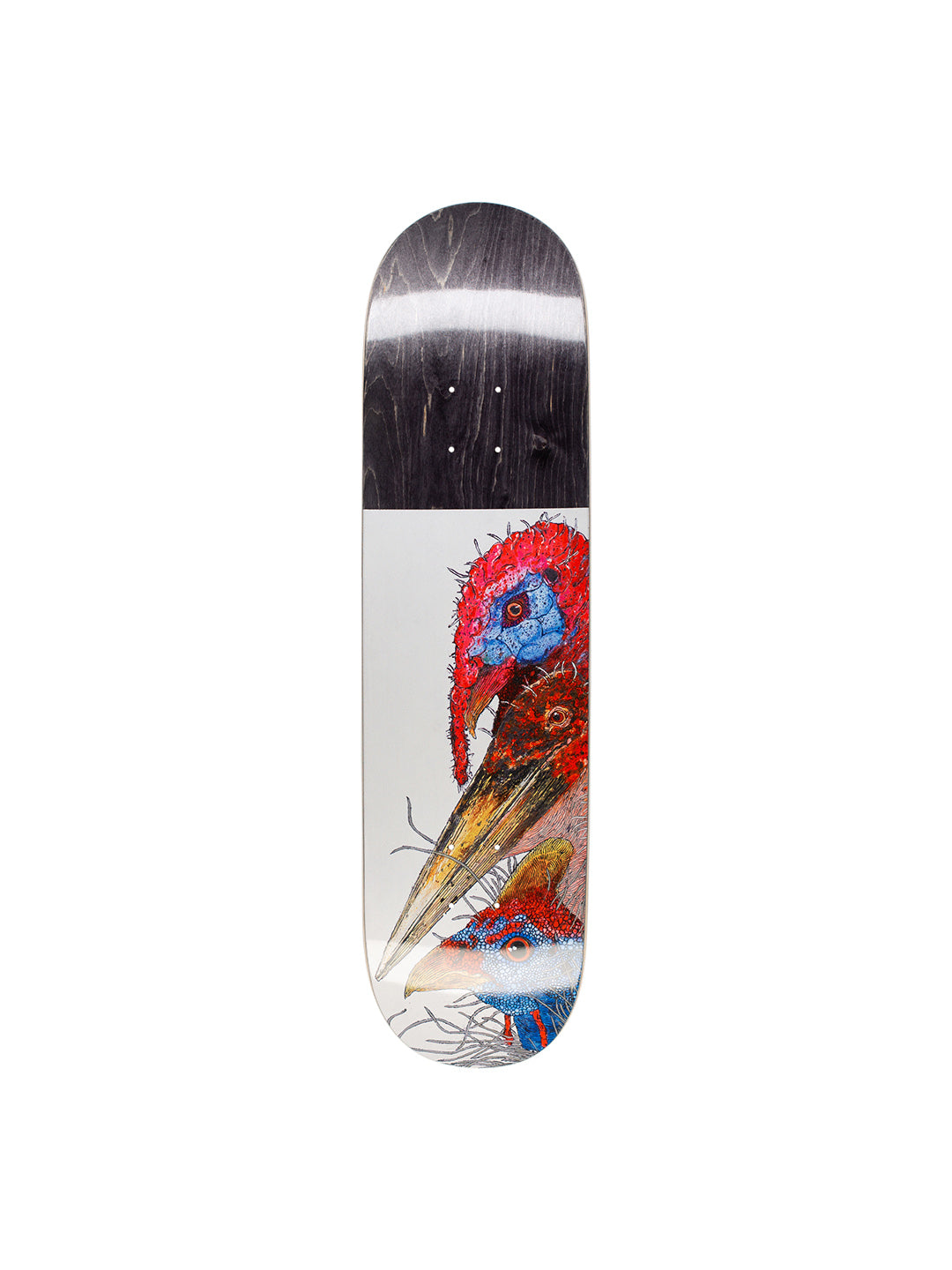 Birds 8.37
