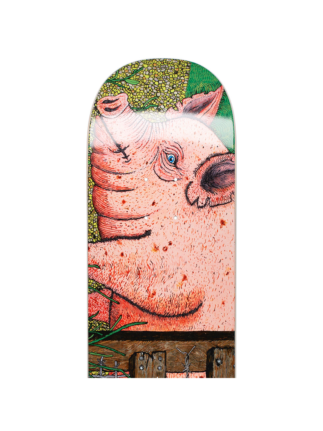 Pig 8.25/8.5
