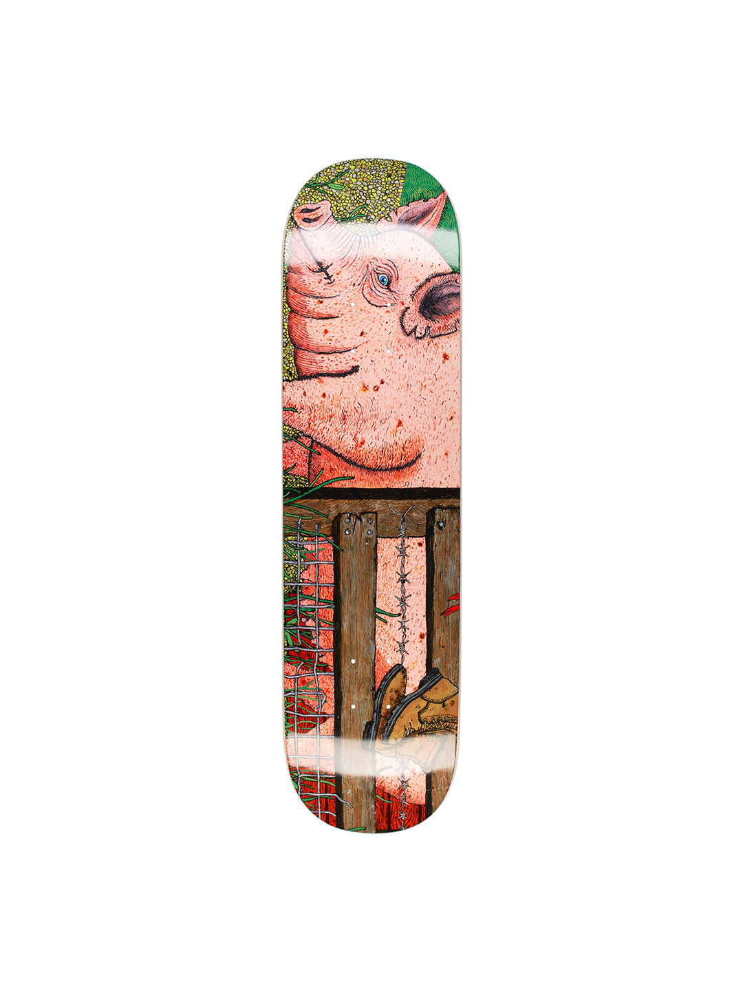 Pig 8.25/8.5