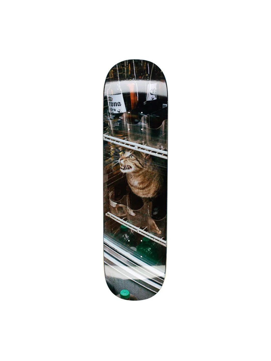 Bodega Cat  8.25/8.3