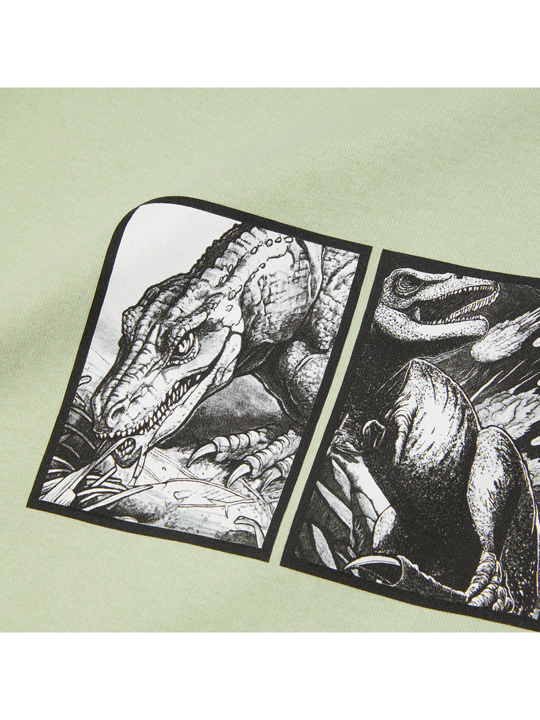 Fossil Fuel Tee Lime