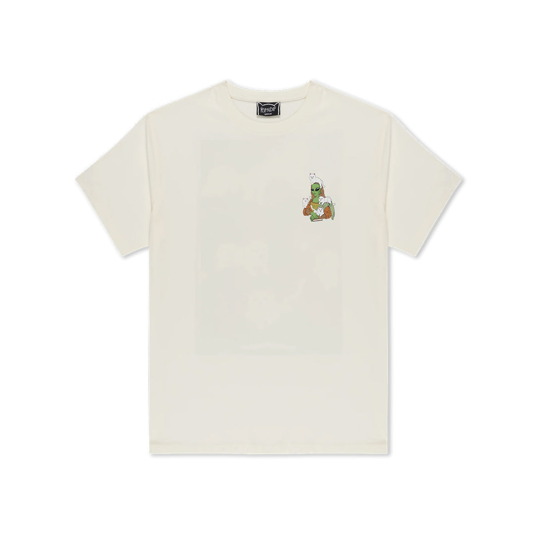 Here All Along Tee Cream