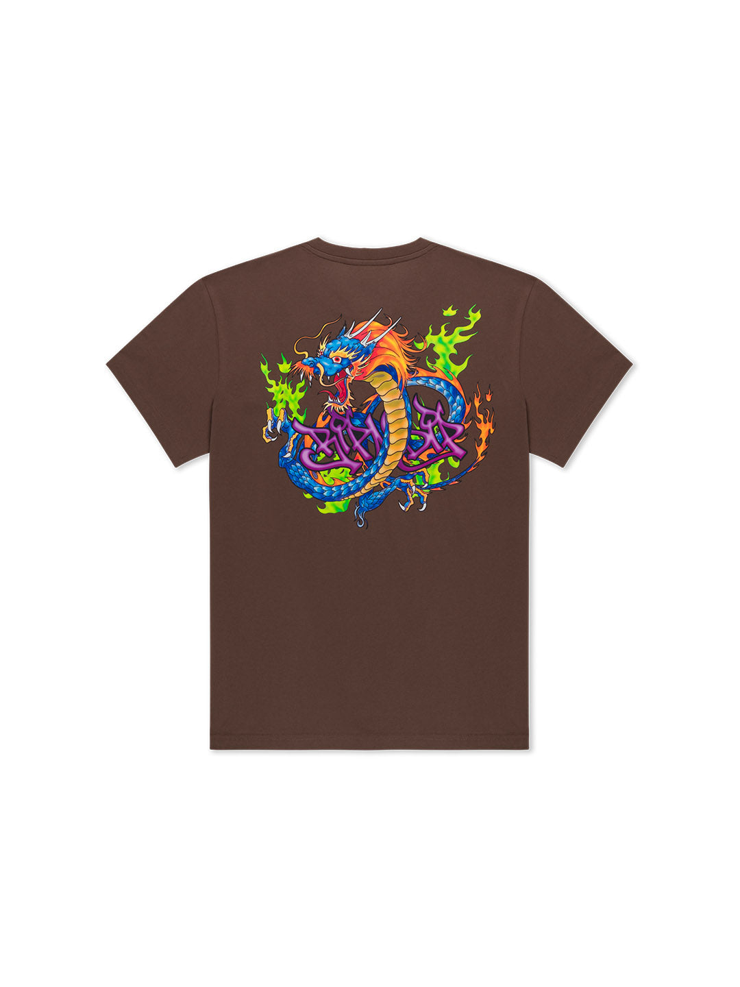 Dragonology Tee Brown