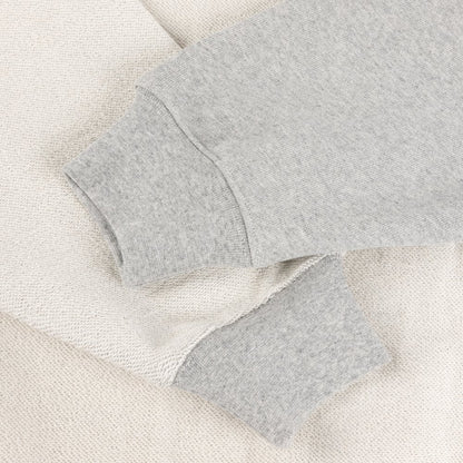DIME REVERSE FRENCH TERRY ZIP GREY