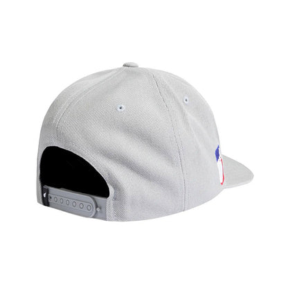 THE HUNDREDS TEAM SNAPBACK GREY